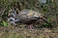 Higdon Outdoors 63171 XS Trufeeder Motion Turkey Hen Species Multi Color Features TruMotion System