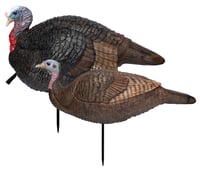 Primos 69075 Lil Gobblestopper Jake & Hen Combo Turkey Species Multi Color