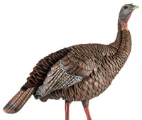 Avian-X AVX8106 HDR Hen Turkey Decoy, 2 Removable Heads