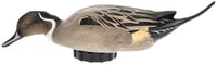 Avian X AVX-PSH-PNSF Pintail Species Multi-Color