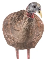 Avian-X AVX8008 8008 LCD Breeder Hen Turkey Decoy, Full Body