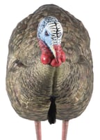 Avian-X AVX-AVX8012 8012 LCD 1/2 Strut Jake Turkey Decoy