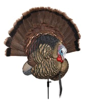 Avian-X FG-DCOY-68021 8021 Trophy Tom Turkey Decoy