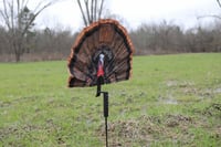 Mojo Outdoors HW2497 Fatal Fan Turkey Species Multi Color Synthetic