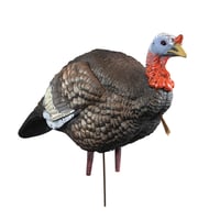 Higdon Outdoors 63144 Hard Body 1/4 Strut Jake Turkey Species Multi Color