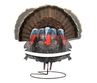 Higdon Outdoors 63175 XS TruStrutter Turkey Tom Species XS Motion