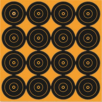 Birchwood Casey 36348 Big Burst Revealing Target Self-Adhesive Paper Black/Orange 3" Bullseye 48 Targets