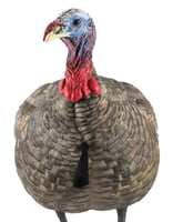 Avian-X AVX8003 8003 LCD Jake Quarter Strut Turkey Decoy, Full